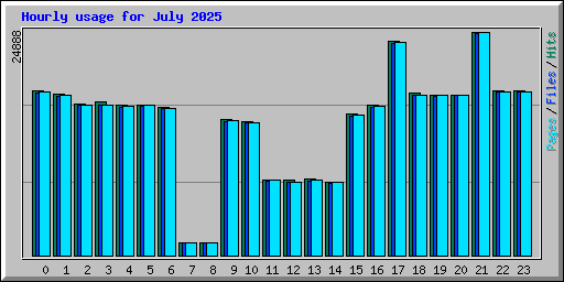 Hourly usage for July 2025